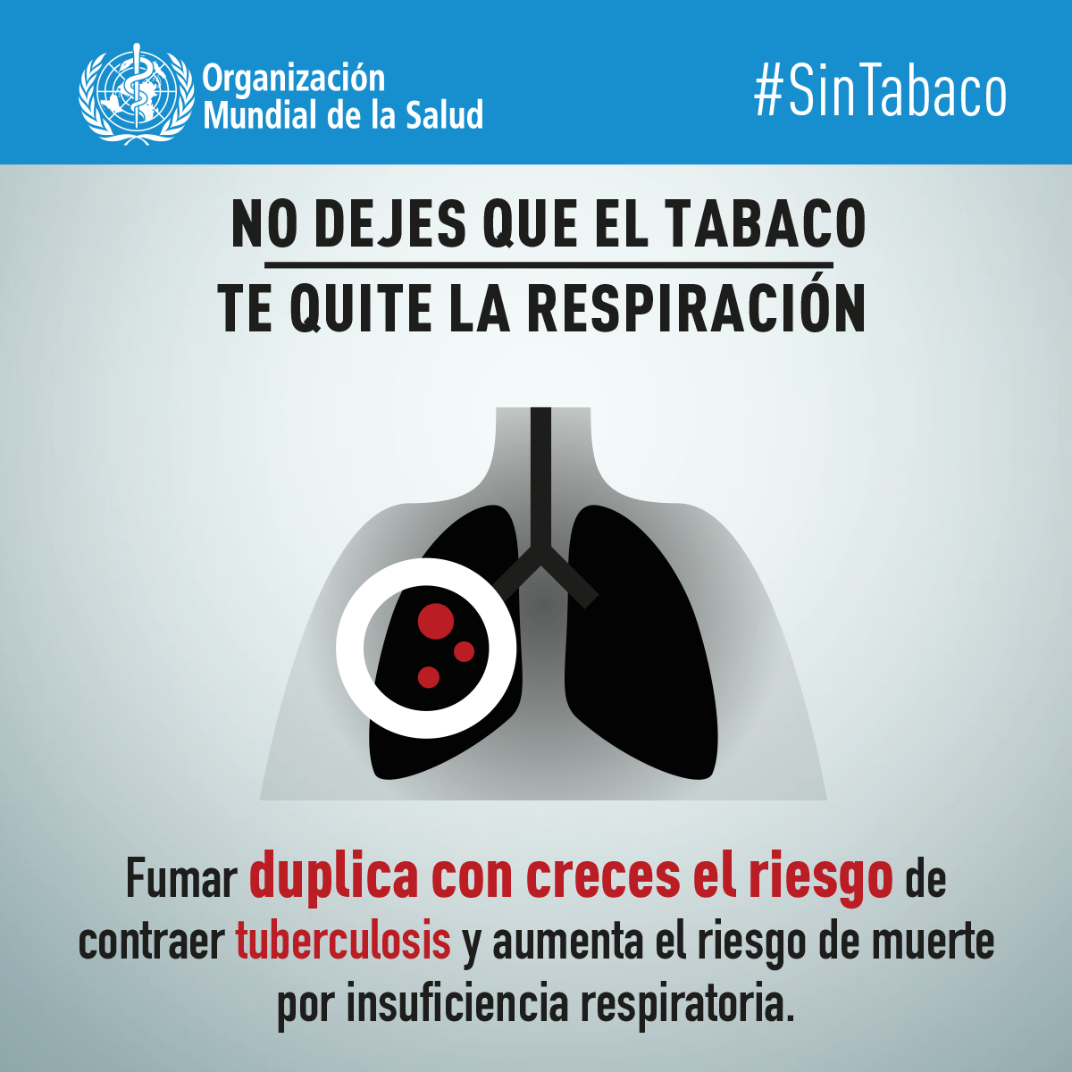 6188_WHO_WNTD19_INFOGRAPHICS_EN_5