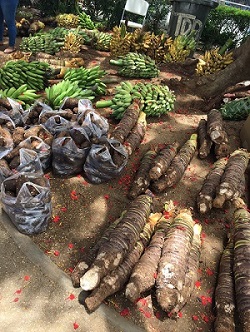 Pacific leadership in new WHO global commission on noncommunicable diseases